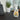 Multisurface Spray